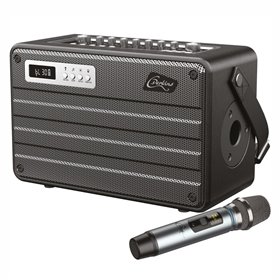 Coluna AMPlificada All-In-One 100W c/ Microfone UHF