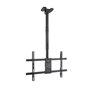TooQ LPCE1186TSLI-B Suporte de teto giratório/inclinável/nivelado para TVs de 43 a 86 polegadas/até 60 kg
