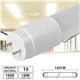 Lâmpada Tubular 16W 120Cm Leds T8 4000K 1600Lm