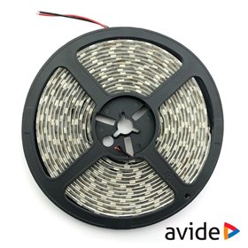 Fita 300 Leds 2835 6400K 12V 4.8W/M 5M Ip65 Avide