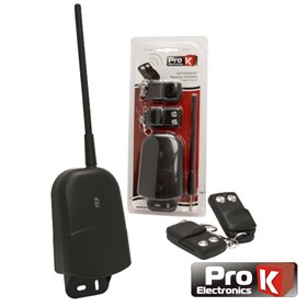 Kit Emissor Receptor De 2 Canais E 2 Comandos Exterior Prok