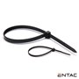 Conjunto 50 Braçadeiras Nylon 2.5X100Mm Preto Entac