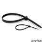 Conjunto 50 Braçadeiras Nylon 2.5X200Mm Preto Entac