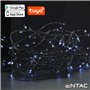 Grinalda 120 Led 6400K App Tuya 220V 9M