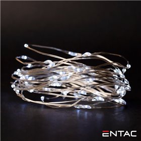 Grinalda De 20 Leds Branco Frio 1M Entac