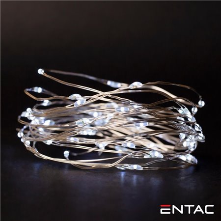 Grinalda De 20 Leds Branco Frio 1M Entac