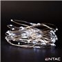 Grinalda De 20 Leds Branco Frio 1M Entac