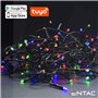 Grinalda 120 Led Multicor App Tuya 220V 9M